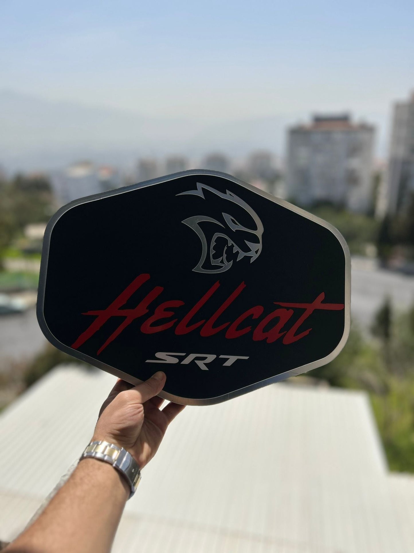 Hellcat Logo Wandschild für die Garage Deko Wandkunst