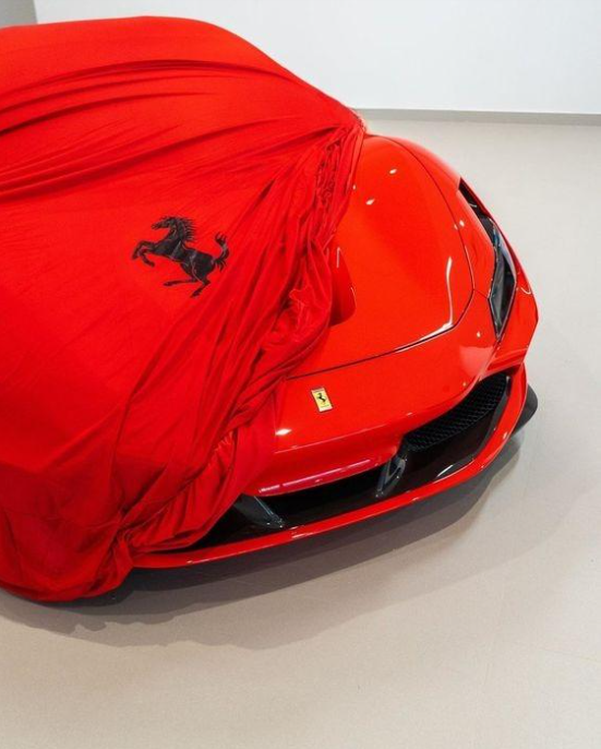Ferrari Car Cover Indoor Tailored for All Models