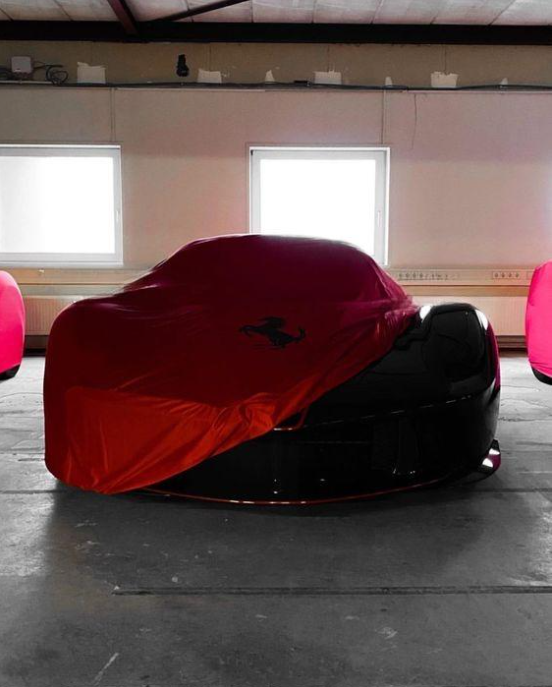 Ferrari Car Cover Indoor Tailored for All Models